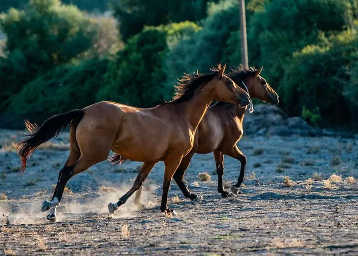 Carrucana Фермерский дом *